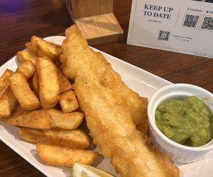 497557943_1255788396546745_179677251852406709_n